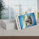 16pt Standard Business Cards
